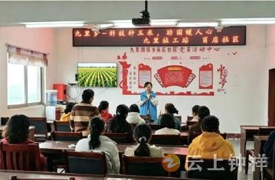 九里回族乡社工站：科技种玉米 助困暖人心