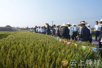 大咖云集钟祥 见证绿色农药创新突破