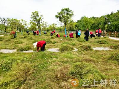 张集镇开展“情暖‘五一’ 除草护园”主题活动