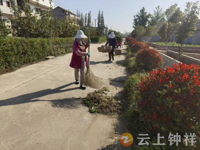 旧口镇六井村：共建美丽乡村 共享“清洁家园”