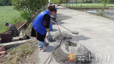 冷水镇杨岭村：“积分制+网格化”奏响乡村治理“共治曲”