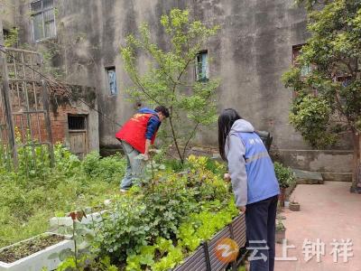 郢中街道码头街社区：禁种铲毒全覆盖 守护辖区净土平安