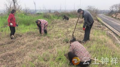 冷水镇李湾村：积分制激活植绿动能 全民共建生态家园