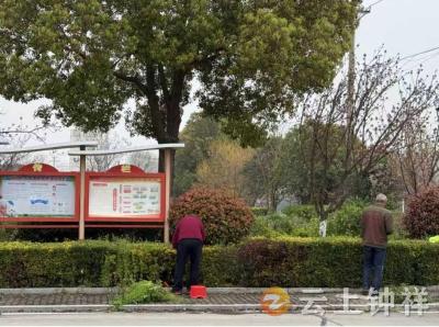 春意盎然展新风 洁净机关作表率——柴湖镇党政综合办扎实开展机关环境卫生整治