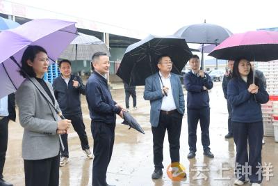 水利部移民管理咨询中心调研组来钟祥调研