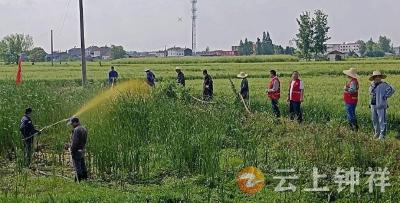 联防联控新常态——钟祥+屈家岭“织密”汉北河防线  共筑“硬核”健康堤坝