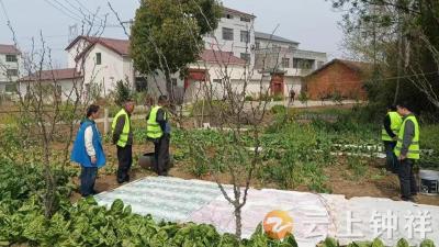 石牌镇桂竹村全面开展禁种铲毒行动