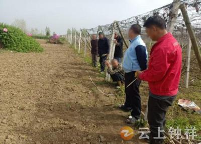 柴湖镇陈营村：田间巡查遇纠纷 耐心调解化干戈