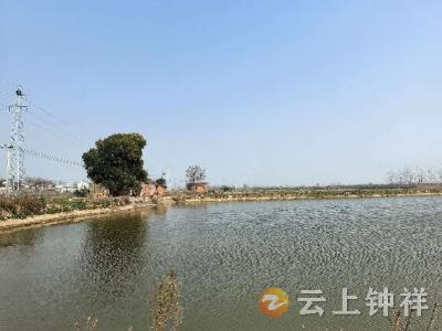 田间地头解纠纷 十年积怨一朝平