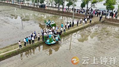 全省土肥系统业务技术培训班在钟祥举办