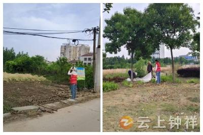 皇庄街道莫愁湖社区开展秸秆禁烧专项巡查 守护生态环境