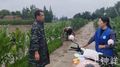 冷水镇百井村：水稻保险宣传到田头 筑牢粮食安全防线