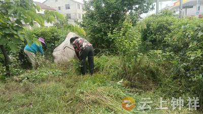 文集镇何埂村：清洁家园齐发力 宜居环境焕新颜