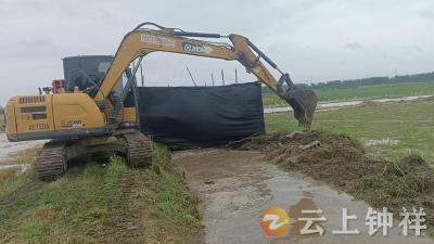 文集镇：向雨而行 全力筑牢排涝防护墙