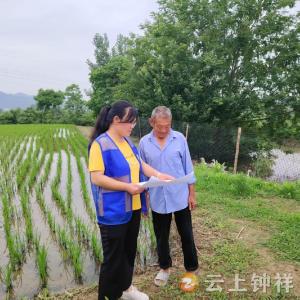 积分赋能护粮安！冷水镇李湾村创新“积分+水稻保险”筑牢粮食安全防线