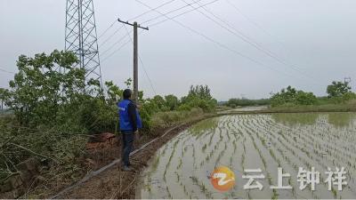 冷水镇杨岭村：网格员联动电力抢修 快速处置断线保春耕