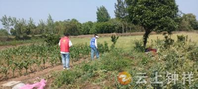 石牌镇石巷村：网格筑防线 禁毒护家园