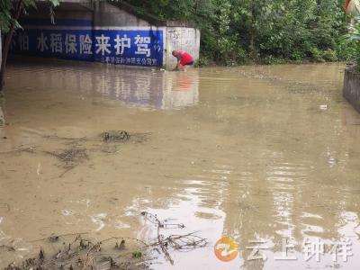 双河镇官冲村：暴雨积水堵涵洞 网格排险保畅通