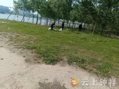 文集镇齐心村：守护汉江碧水 共建生态家园