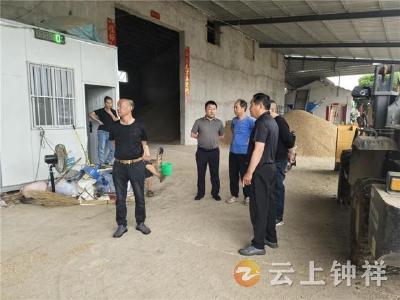 洋梓镇：抢收烘干保夏粮 严查隐患守安全