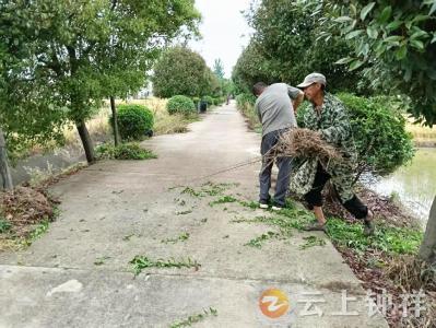 冷水镇鲍岗村：“小积分”撬动“大治理” 美环境绘就新画卷