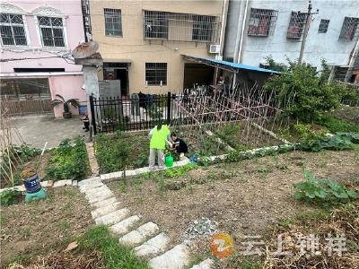 皇庄街道开展排涝堤违规种植集中劝导行动 筑牢汛期安全防线