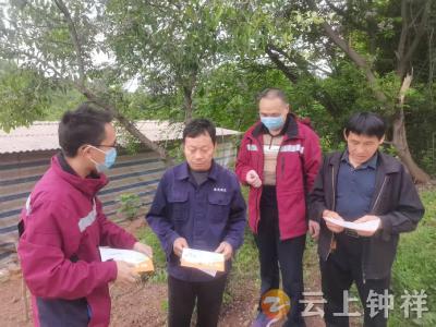 钟祥市疾控中心开展蜱虫专项监测 织密蜱传疾病防控网络
