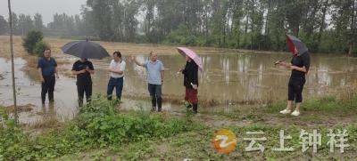 柴湖镇：风雨不停攻坚不止 全线发力守护粮安