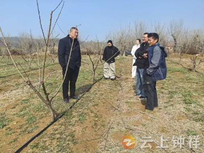 长滩镇：“三向发力”绘就基层善治新画卷
