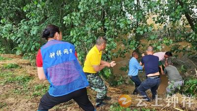 旧口镇温巷村：闻“汛”而动勇担当 干群同心筑防线