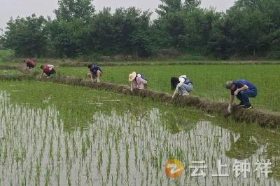 四地联动织密“血防网” 跨域协同筑牢“健康墙”——钟祥、天门、京山、屈家岭联合开展血吸虫病风险监测行动