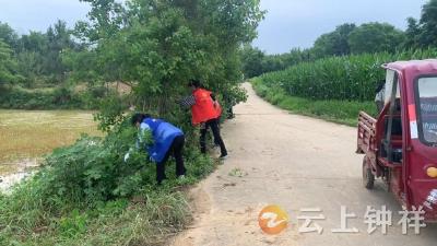 东桥镇七堰村：积分赋能环境整治 共建美丽宜居乡村
