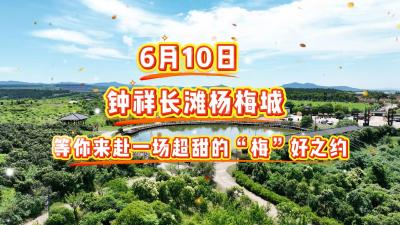 湖北钟祥：“梅”好遇见，红韵长滩——长滩第九届杨梅采摘周来啦！
