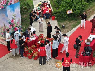 2026“网络媒体看钟祥”活动走进洋梓镇 探秘万亩寿桃农旅新风光