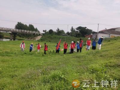 青春护河守碧水——丰乐镇开展“河小青”河湖守护志愿服务