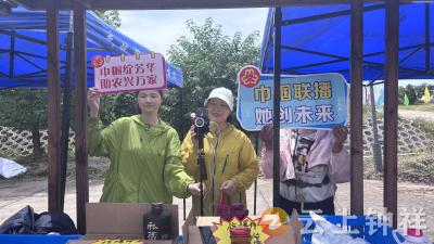 巾帼云带货 梅香飘四方——长滩镇妇联以直播赋能杨梅产业发展