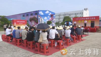 数字赋能 领航未来 湖北兴祥互联网直播基地开业