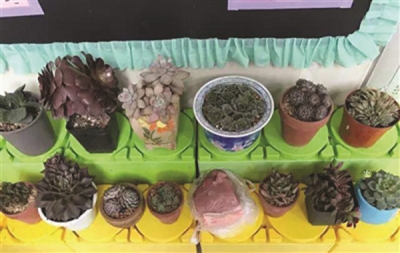 幼儿园老师让带“肉肉”植物，萌娃带来了块猪肉