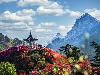 龟峰山杜鹃花海盛况大赏