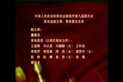 中国人民政治协商会议麻城市第九届委员会新当选副主席、常务委员名单
