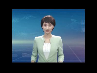 政协麻城市九届四次会议隆重开幕
