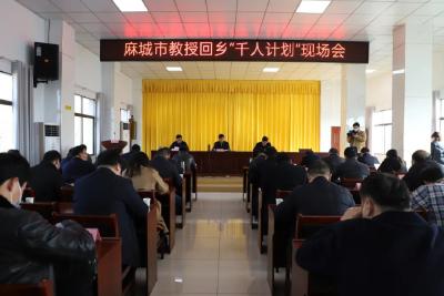 推动“千人计划”落实  释放教授回乡能量