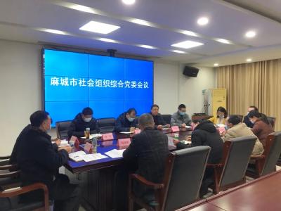 中共麻城市社会组织综合委员会成立