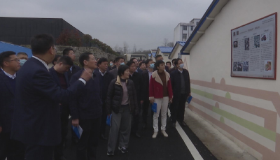 黄冈推广麻城“教授回乡”千人计划工作经验