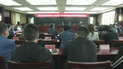 武汉光谷光电中小企业产业协会考察麻城光电产业