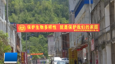 国际生物多样性日：呵护自然 有你有我