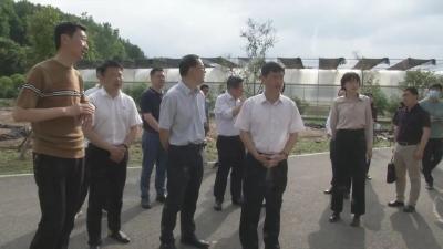 10家中央级主流媒体聚焦麻城巩固脱贫攻坚与乡村振兴有效衔接工作