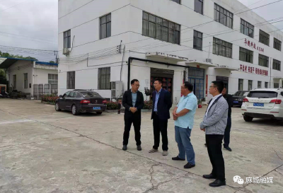 黄冈麻城市龟山镇：学党史 办实事 解民忧