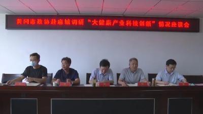 张友启到麻城调研“大健康产业科技创新”工作