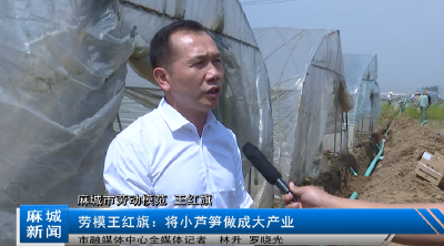 【弘扬劳模精神 奋进新时代】王红旗：将小芦笋做成大产业